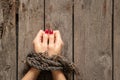 Tied female hands with rope on wooden background close-up Royalty Free Stock Photo