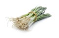 Tied fresh green onion on white