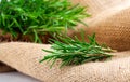 Tied fresh rosemary on the burlap Royalty Free Stock Photo