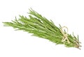 Tied fresh rosemary over white background Royalty Free Stock Photo