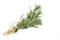 Tied fresh rosemary on a white background Royalty Free Stock Photo