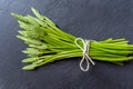 Fresh wild asparagus on a dark background Royalty Free Stock Photo