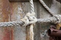 Tied knot rope, close up Royalty Free Stock Photo