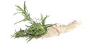 Tied rosemary on white background Royalty Free Stock Photo