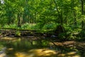 The Tiefental along the Pulsnitz river, Saxony, Germany