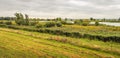 Tiendgorzen nature reserve on the South Holland island of Hoeksche Waard