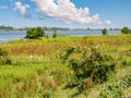 Tiengemeten island wetland landscape in Haringvliet estuary, South Holland, Netherlands