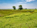 Tiengemeten island wetland landscape in Haringvliet estuary, South Holland, Netherlands