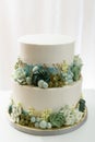 2 tier wedding cake with butter cream floral accents