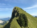 Tierberg mountain above the Oberseetal valley and in the Glarus alps mountain masiff, Nafels Naefels