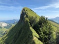 Tierberg mountain above the Oberseetal valley and in the Glarus alps mountain masiff, Nafels Naefels