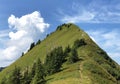 Tierberg mountain above the Oberseetal valley and in the Glarus alps mountain masiff, Nafels Naefels
