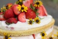 tiered layered cake with yellow wildflowers and strawberries with white icing summer cake