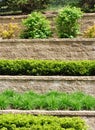 Tiered Retaining Wall Royalty Free Stock Photo