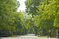 Tiergarten (animal garden), Berlin, Germany