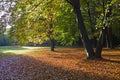 Tiergarten in Berlin