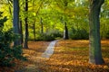 Tiergarten in Berlin