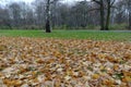 Tiergarten, Berlin