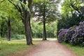 Tiergarten, Berlin, Germany, April, 2017: A beautiful and quiet park line path between trees and flowers during daylight. Royalty Free Stock Photo