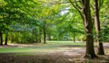 Tiergarten city park in Berlin, Germany. View of grass field and trees Royalty Free Stock Photo