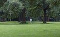Tiergarten park berlin germany Royalty Free Stock Photo