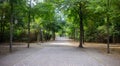 Tiergarten park in Berlin, Germany. Autumn with falling leaves and green trees background Royalty Free Stock Photo