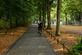 Tiergarten park, Berlin. Healthy lifestyle concept. Woman is cycling on a path. Forest at autumn background