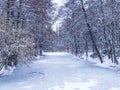 Tiergarten in winter