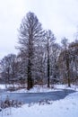 Tiergarten in winter