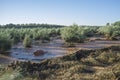 Tierra de Barros olive grove flooded by deluge