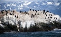 Tierra del fuego