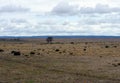 Tierra Del Fuego.