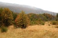 Tierra del Fuego National Park in Autumn, Patagonia, Argentina, South America Royalty Free Stock Photo