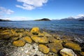 Tierra Del Fuego National Park near Ushuaia, Royalty Free Stock Photo