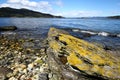 Tierra Del Fuego National Park near Ushuaia, Royalty Free Stock Photo