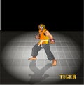 Tiger fighter tournament,vector baswd,Eps10 file type Royalty Free Stock Photo