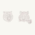 Tiger head illustration hand drawing sketch Royalty Free Stock Photo