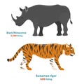 Tiger action wildlife animal danger rhinoceros mammal fur wild bengal wildcat character rino vector illustration