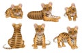 Tiger. Aggressive dangerous wild nature tigers orange big cat decent vector zoo realistic symbols