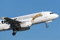 Tiger Airways Tigerair Airbus A320 aircraft. Royalty Free Stock Photo