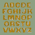 Tiger alphabet of bold letters white and orange with black stripes