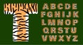 Tiger alphabet of bold letters white and orange with black stripes