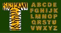 Tiger alphabet of bold letters white and orange with black stripes grunge effect