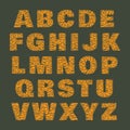 Tiger alphabet of bold orange letters with transparent stripes