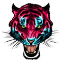 Tiger anger. Vector illustration of a tiger head.