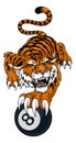 Tiger Angry Pool 8 Ball Billiards Mascot Cartoon