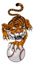 Tiger Baseball Ball Animal Sports Team Mascot