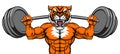 Tiger Mascot Weight Lifting Barbell Body Builder