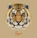 Tiger animal face. Vector Bengal head portrait. Realistic fur beast of tiger. Predator eyes of wildcat. Big cat head on