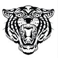 Tiger Animal Tiger Old Scholl tattoo Vintgae vector illustration 02